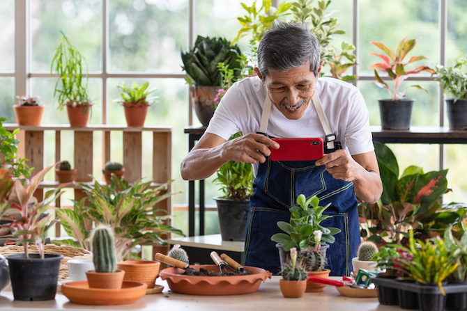 A senior Asian male gardener using smartphone to take photo of plants